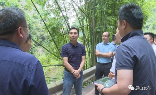 代軍深入龍華鎮調研指導，聚焦旅游項目開發新藍圖